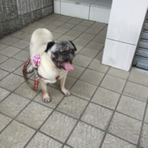 山下院長　三木先生担当