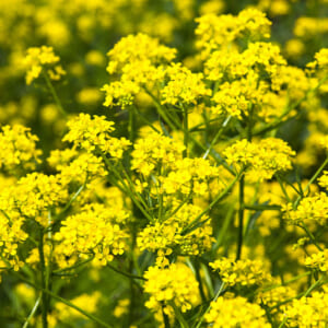 桐生先生の診察💕