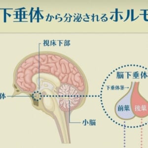 桐生 17:30～空いてます！