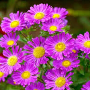 三木先生の診察💕