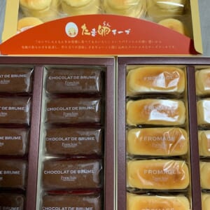 .｡.:*･’朝倉’･*:.｡.