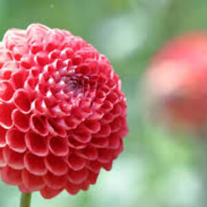 三木先生の診察💕