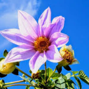 桐生先生の診察💕