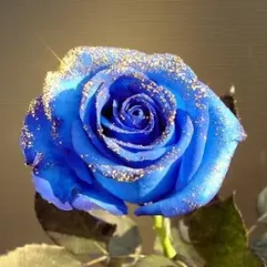 桐生先生の診察💕