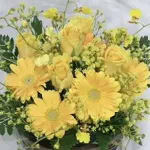 三木先生の診察💕