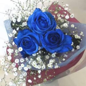 香澄先生の診察💕