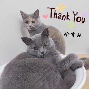 ありがとうございました♡