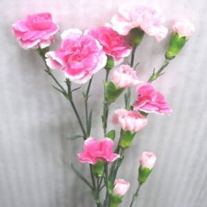 三木先生の診察💕