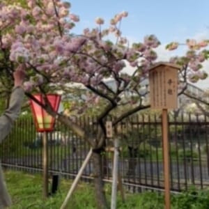 連休も営業です