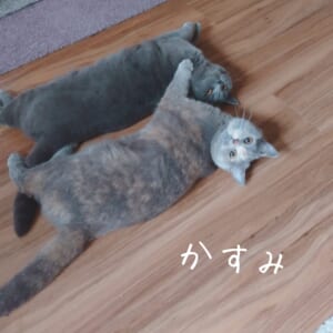 ありがとうございました♡