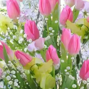 香澄先生の診察💕