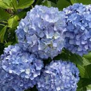 山本先生💕高橋先生💕診察