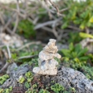 今日も元気に