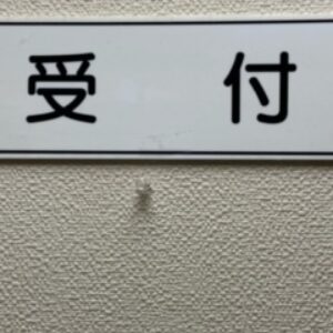 快適な受付