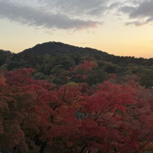 ありがとうございました🌷