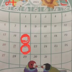 7月出勤日