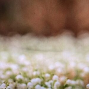 夕方迄空き有り