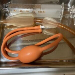 本日の秘密カルテ