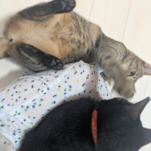 次回案内21時からです